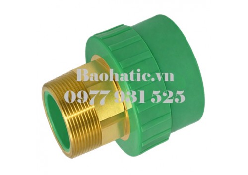 Măng sông ren ngoài PPR 110